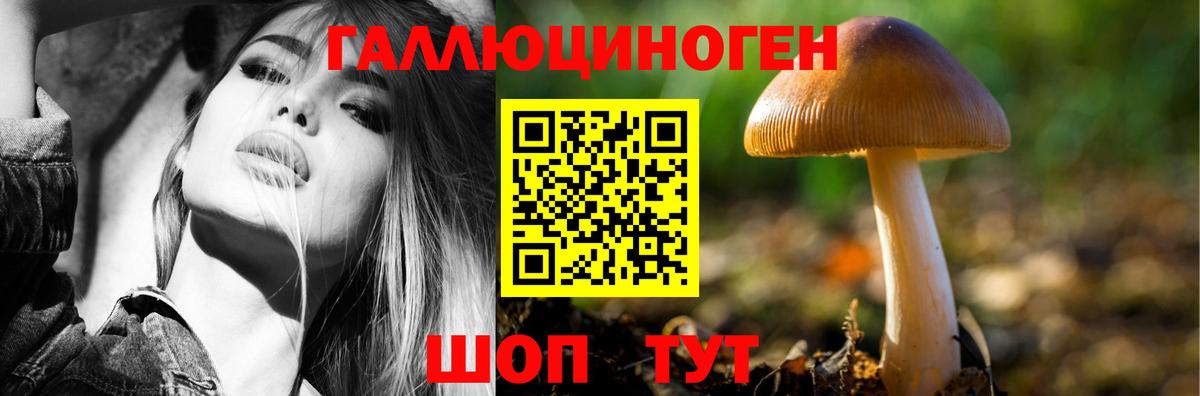 Псилоцибиновые грибы Psilocybe Лабытнанги